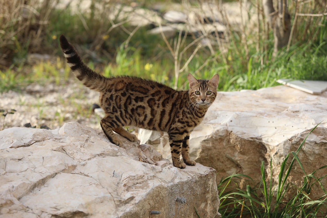 ママが起業で失敗した例とはどんなものがあるの？